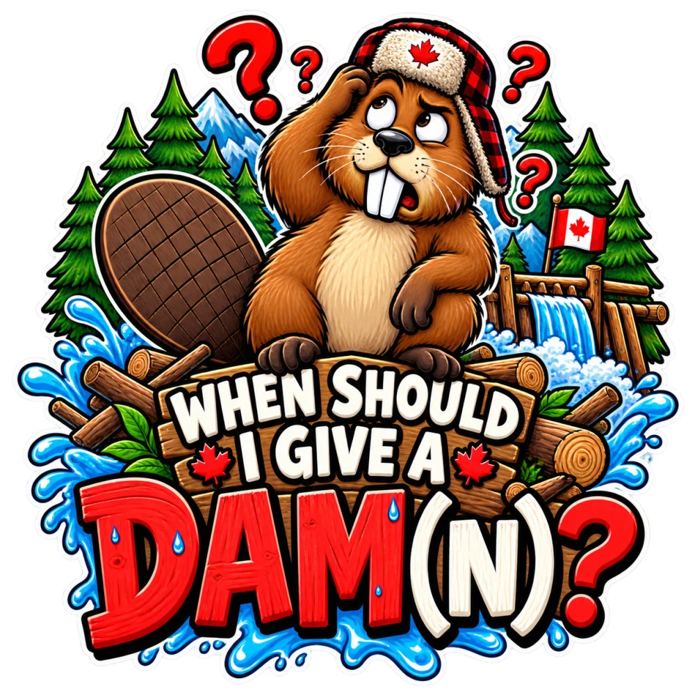When Should I Give a Dam(n)? artwork